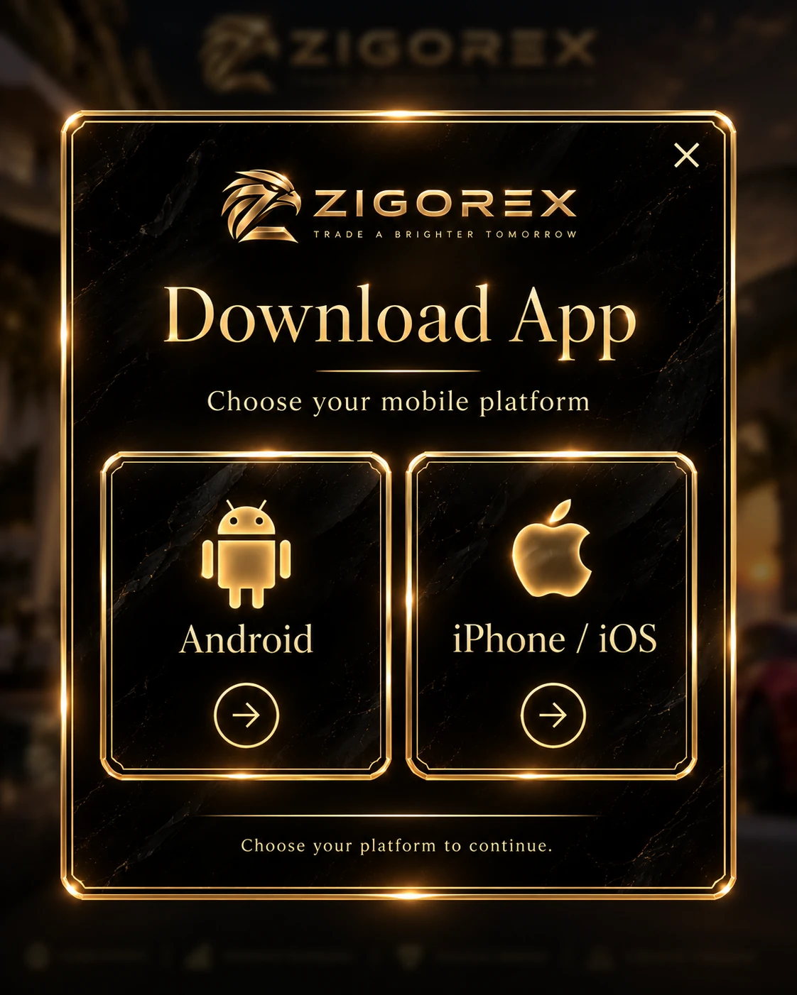ZIGOREX